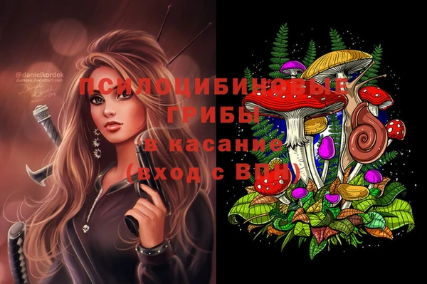 МДПВ Зеленодольск