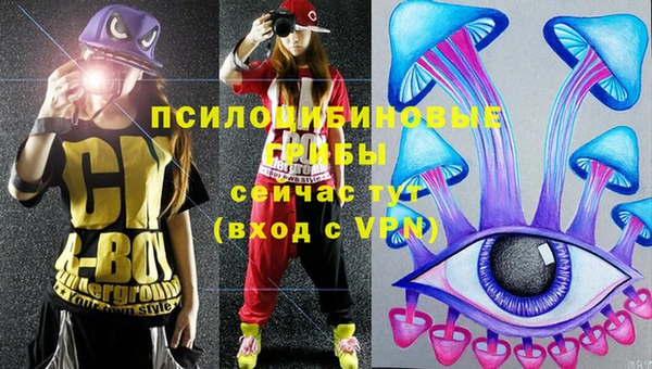 амф Заводоуковск