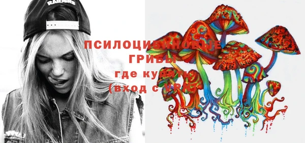 твердый Заволжск